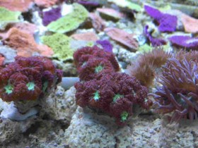 IMG_0120.jpg