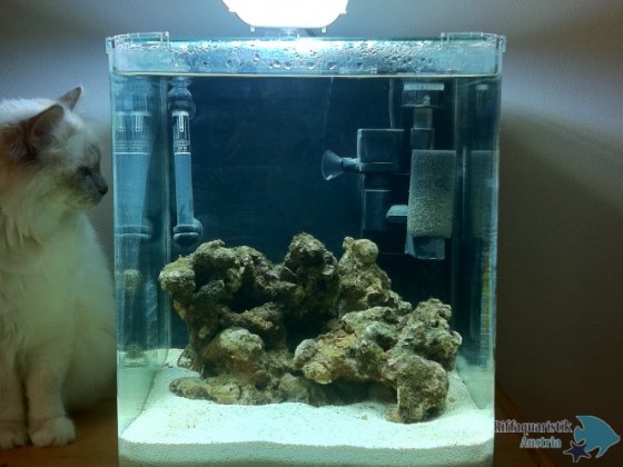 Nano Cube Gesamtansicht