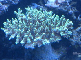 DSC_0032.jpg