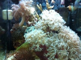 IMG_0418.jpg
