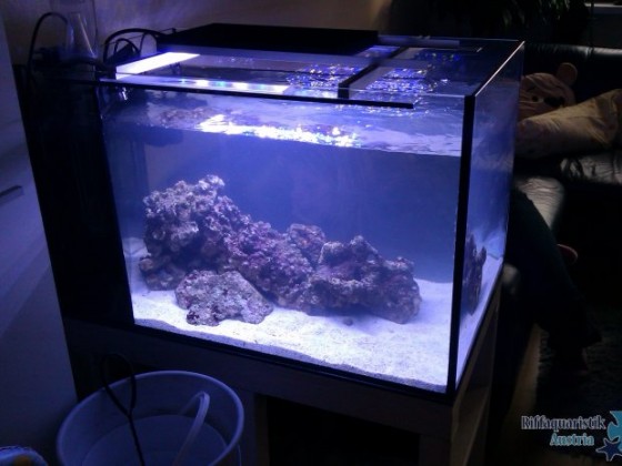 meine neues 80x50x50 frisch besetzt mit ls