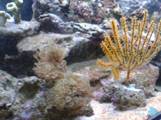 2013-02-27 20.15.18.jpg
