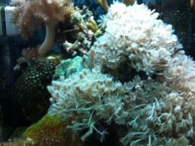 IMG_0420.jpg