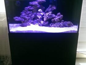 IMAG0690.jpg