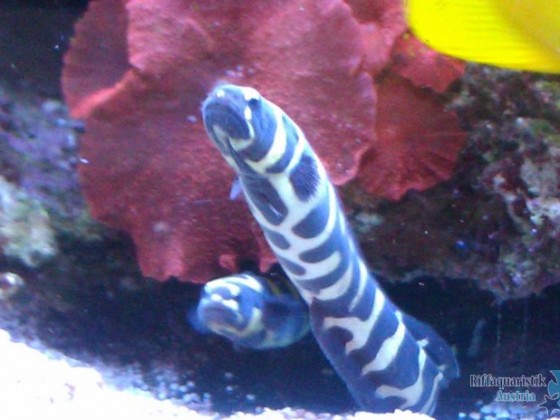 IMAG0639.jpg