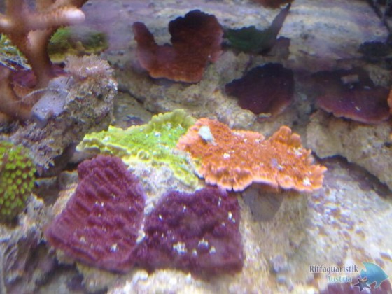 08052011314.jpg