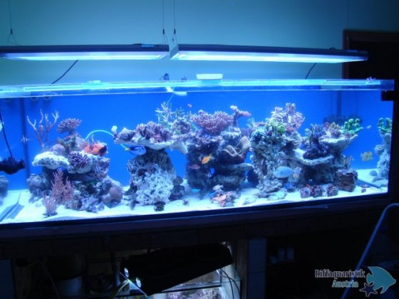 Neu 1300 liter:)