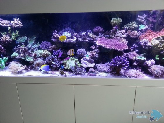 20140216_112141.jpg