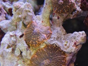IMG_4453.jpg