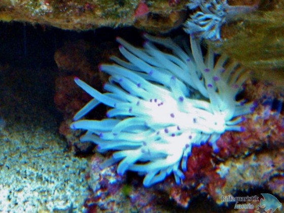IMG_20130525_165642.jpg
