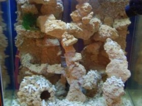 Das kleine 100l Becken