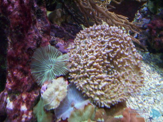 100_6829.JPG