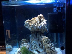 Erstes MW Aquarium - Aufbau vorne