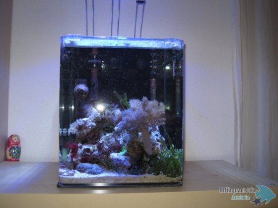 Aquarium14.12.12 024.JPG
