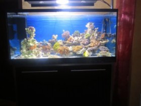 IMG_5790.JPG