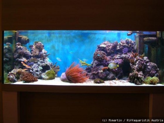Neues 600l Aqua