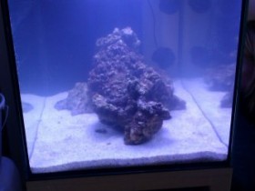 meine neues 80x50x50 frisch besetzt mit ls
