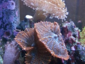 K1024_2013-12-19 15.37.14.JPG