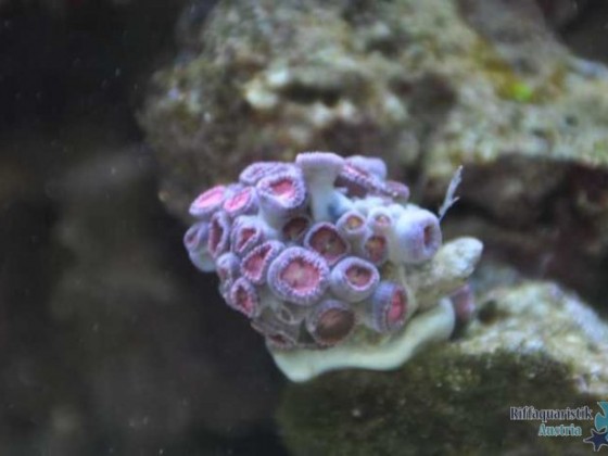 K640_DSC_0744.JPG
