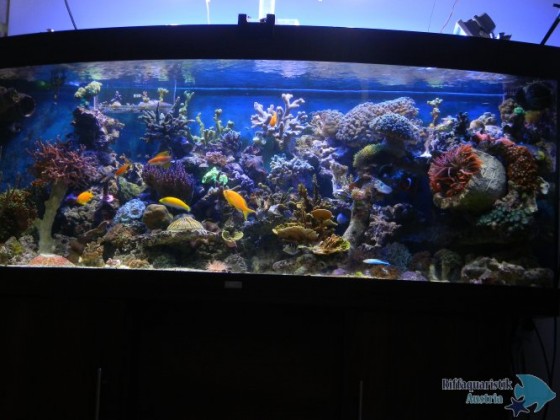 DSCN2735.JPG