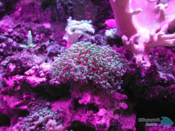 DSCN3509.JPG
