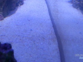 DSC_0384.JPG