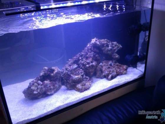 meine neues 80x50x50 frisch besetzt mit ls