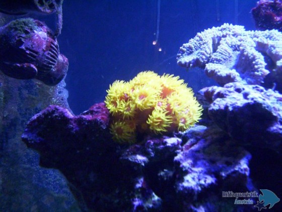 100_6814.JPG