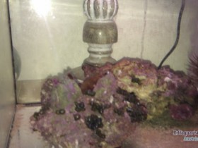 IMAG0439.jpg
