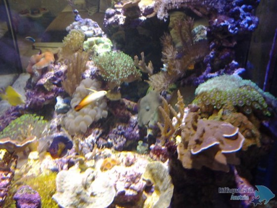 20130707_122253-1012730777.jpg