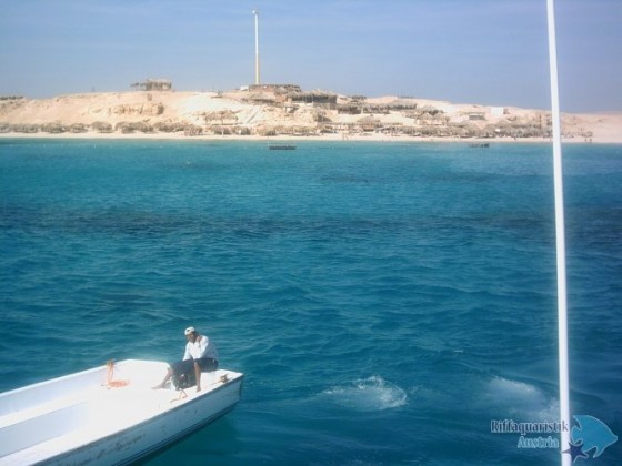 PICT0119.JPG