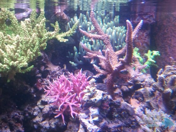 2012-11-05 13.29.31.jpg