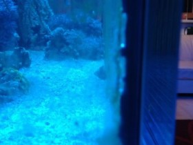 2012-03-20 21.56.05.jpg
