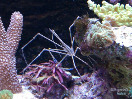 IMAG0049.jpg