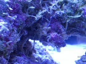 DSC_0369.JPG