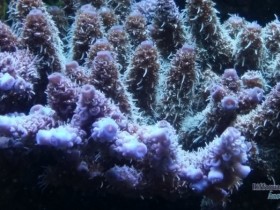 20140513_183103.jpg
