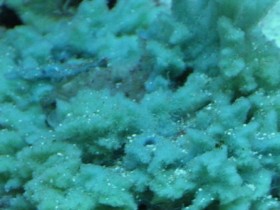 IMG_0805.JPG