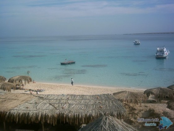 PICT0121.JPG