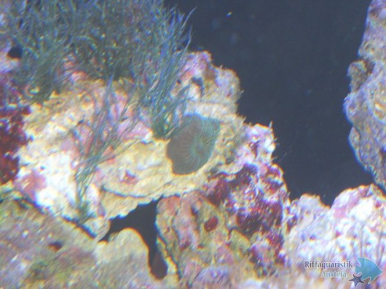 DSCN3012.JPG