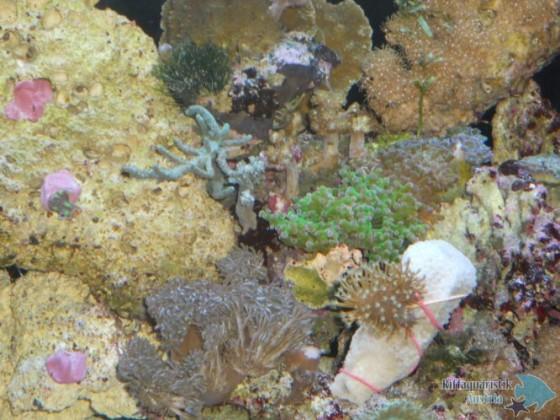 DSCN3088.JPG