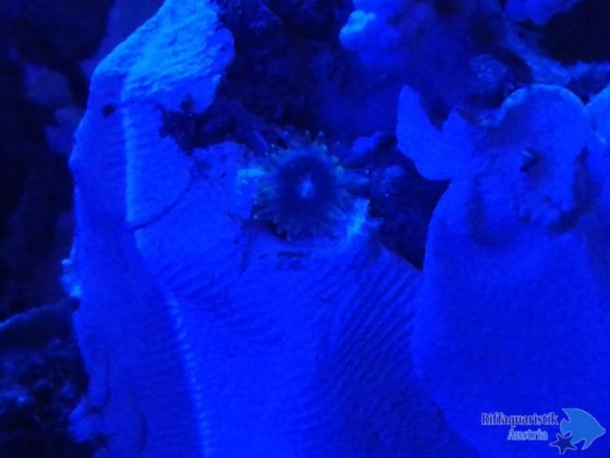 20130114_214026.jpg