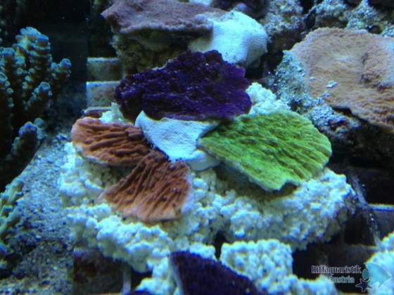 Photo12.jpg