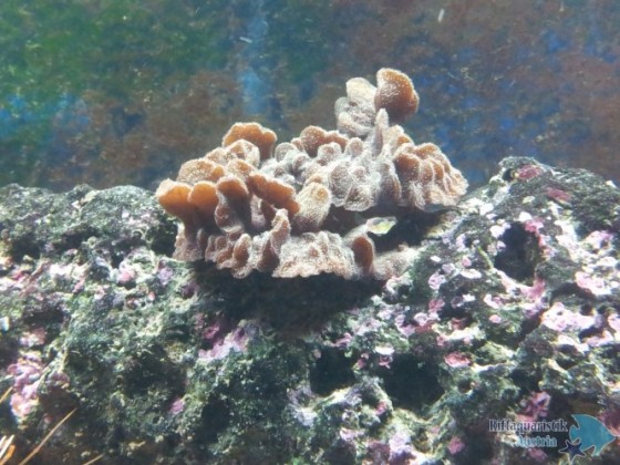 20121108_192532.jpg