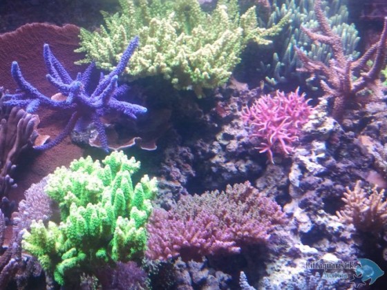 2012-11-05 13.29.21.jpg