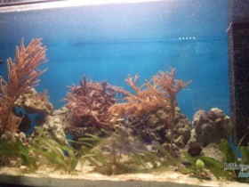 Becken 3 KG