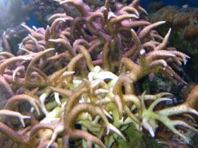 IMG_0881.JPG