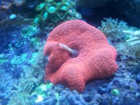 20131124_193928.jpg